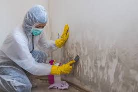 Biohazard Mold Removal in Labelle, FL